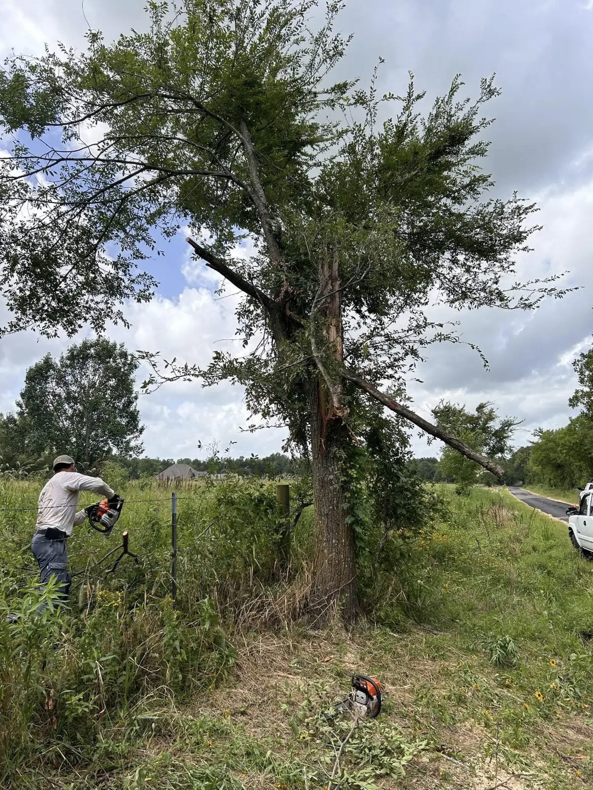 Professional tree removal service cutting damaged tree with chainsaw – Hood Lawn Care and Services