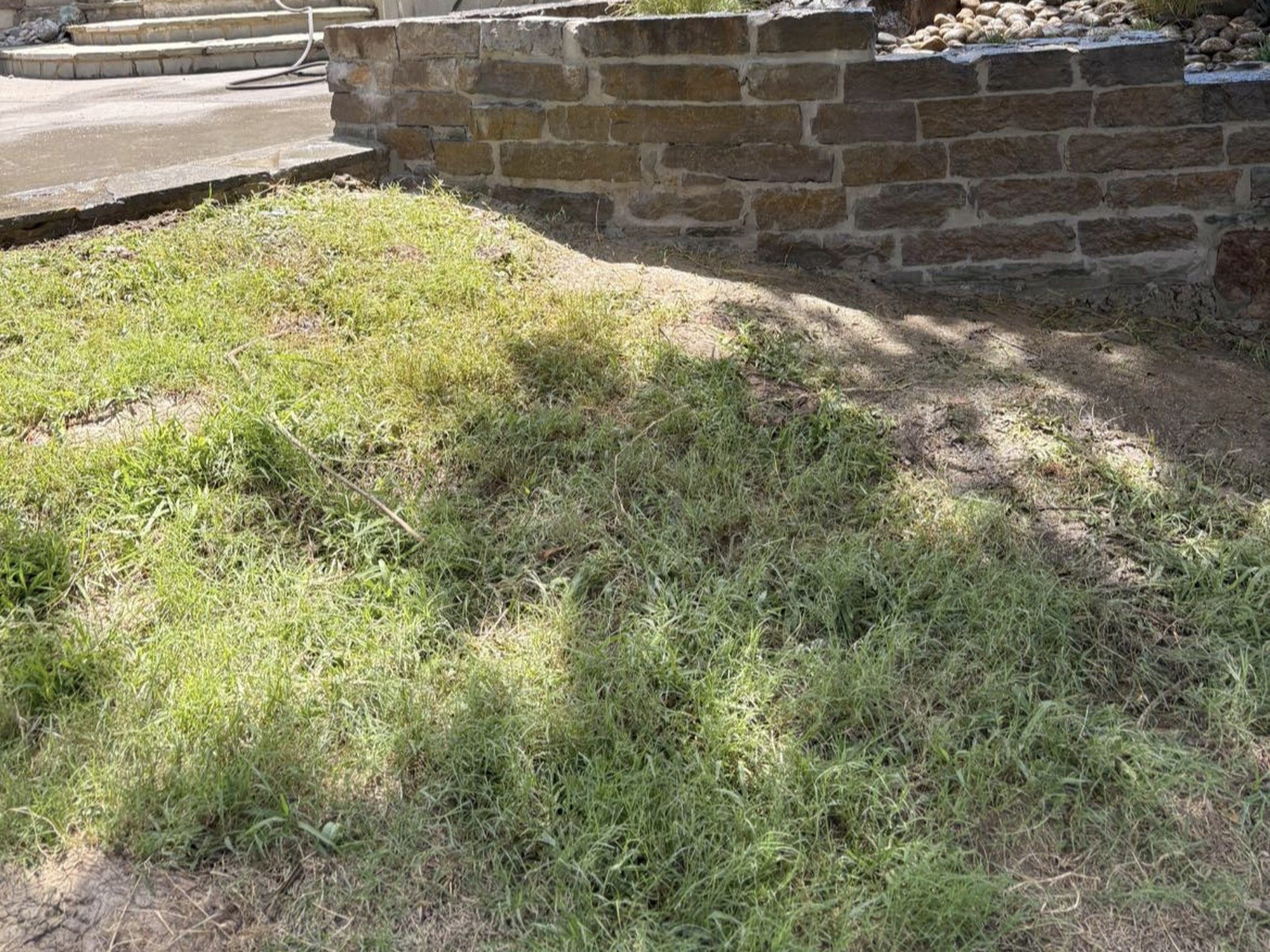 Commercial landscape showing patchy grass and soil near stone retaining wall before lawn repair by Hood Lawn Care